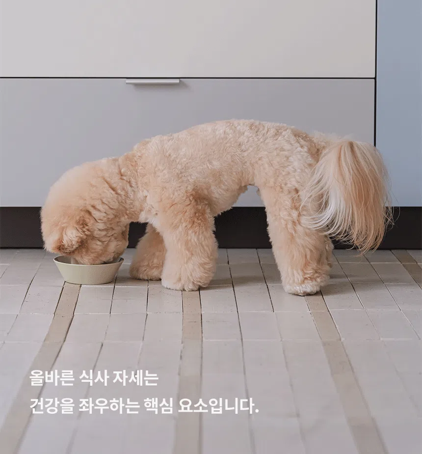 [NEW신상][무료배송] 리카리카 테이스틸 실리콘 보울&철제 받침대 세트 5번째