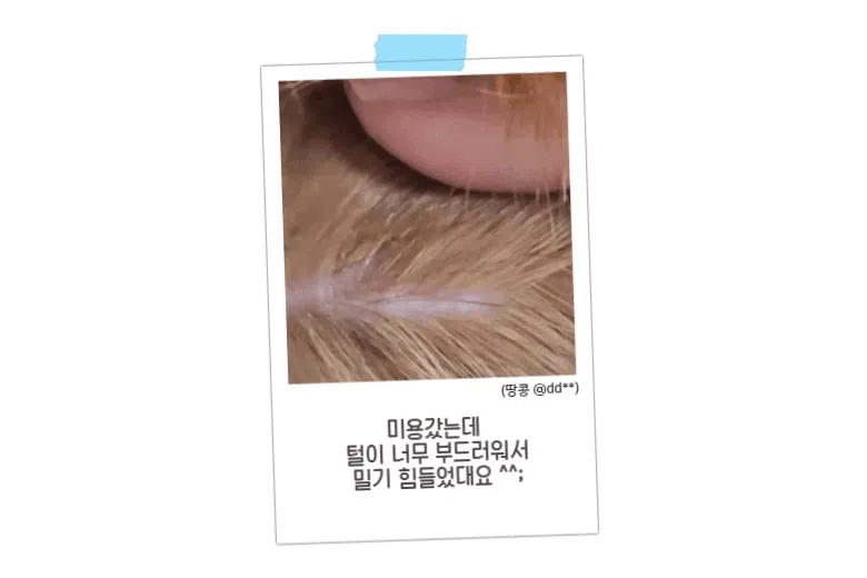 [체험단] [무료배송] 배사봉 수제 목욕비누 베어스킨 20g 28번째