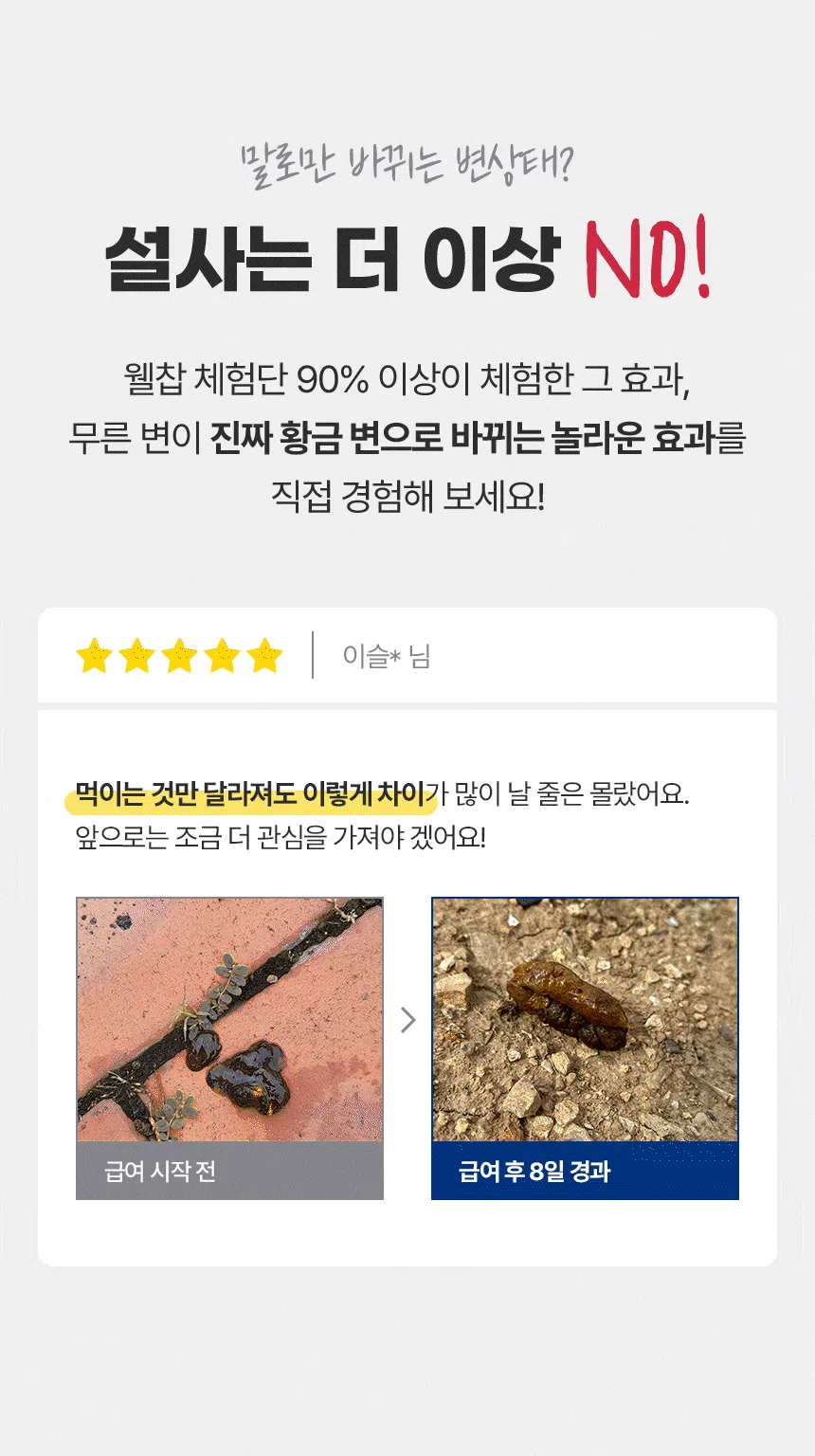 [무료배송] [유통기한임박, 26년3월19일] 웰찹 강아지 고양이 덴마크 펫 유산균 100 500mg 1번째