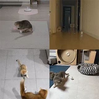 [NEW신상]내꼬냥 스마트 자동 레이저 토이 텀블러 1번째