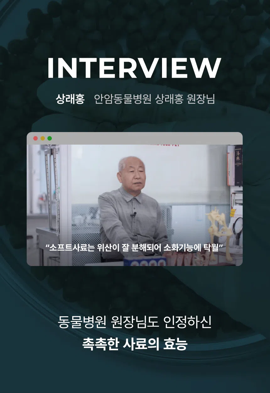 [신상특가] [무료배송] 데이스포 독 아이케어 스킨앤밸런스 피부건강 사료 5kg 14번째