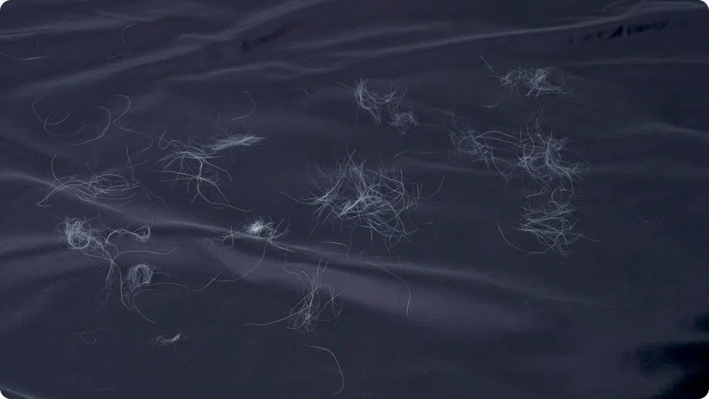 [핑프특가][무료배송] 댄스온더플로어 털이 붙지 않는 리버서블 퍼리스 베딩 6번째