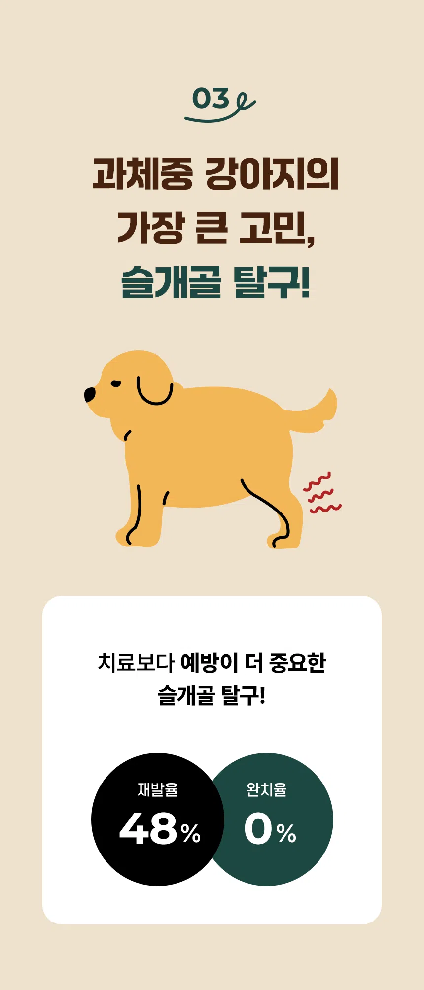 [신상특가] [무료배송] 데이스포 독 아이케어 힙앤조인트 관절건강 사료 5kg 15번째