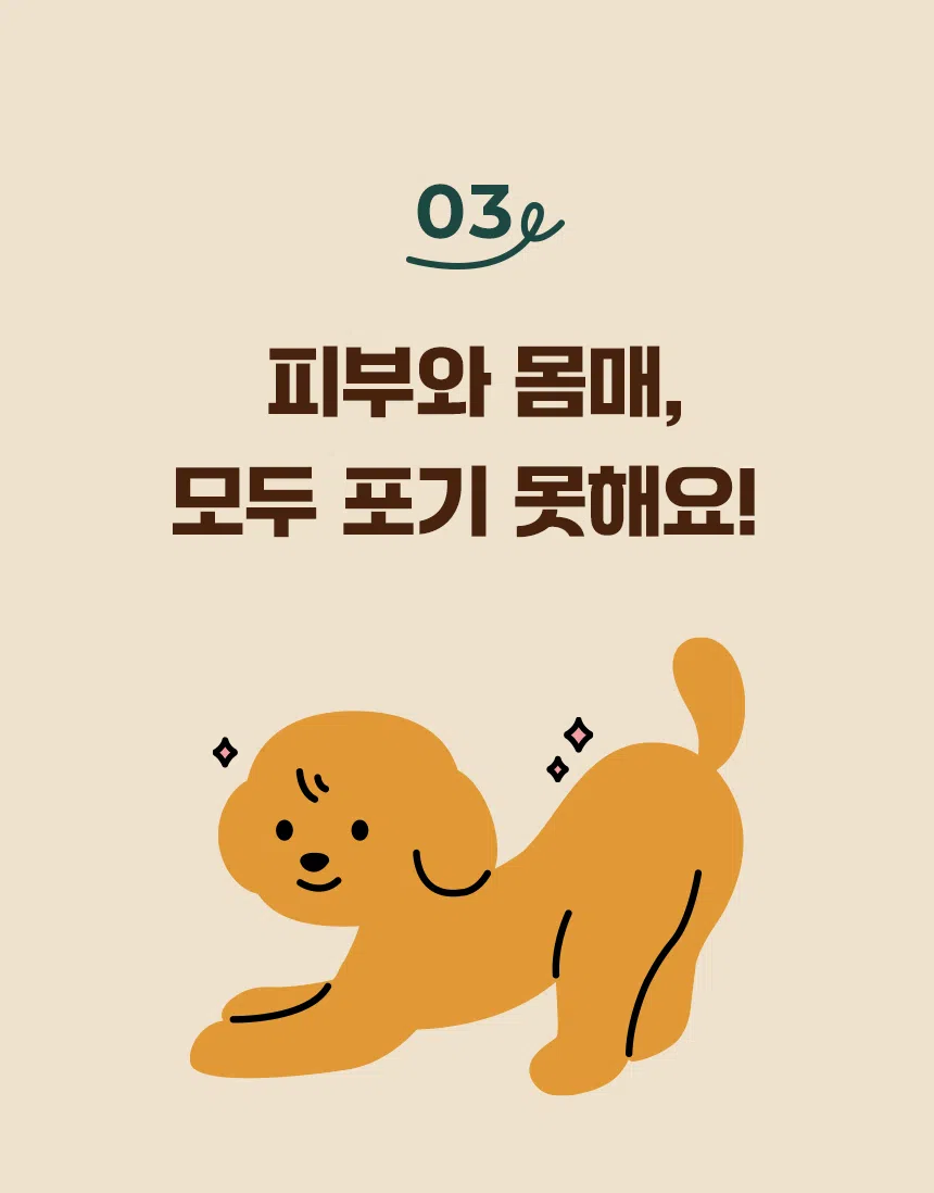 [신상특가] [무료배송] 데이스포 독 아이케어 스킨앤밸런스 피부건강 사료 5kg 15번째