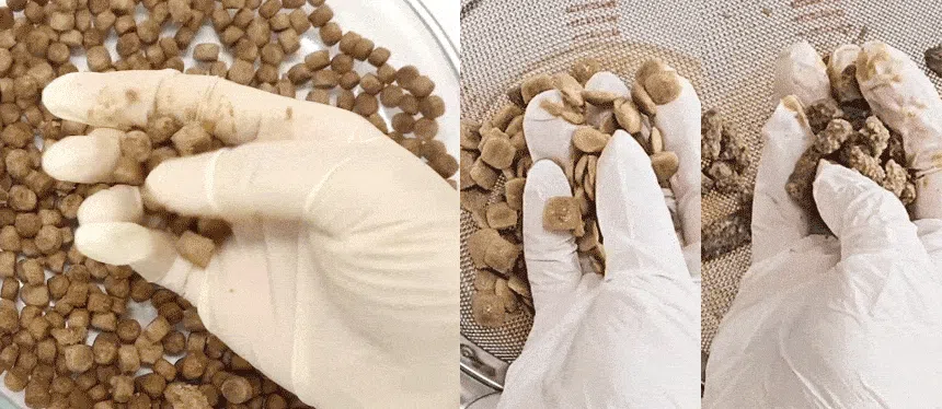 [신상특가] [무료배송] 데이스포 독 아이케어 힙앤조인트 관절건강 사료 5kg 12번째