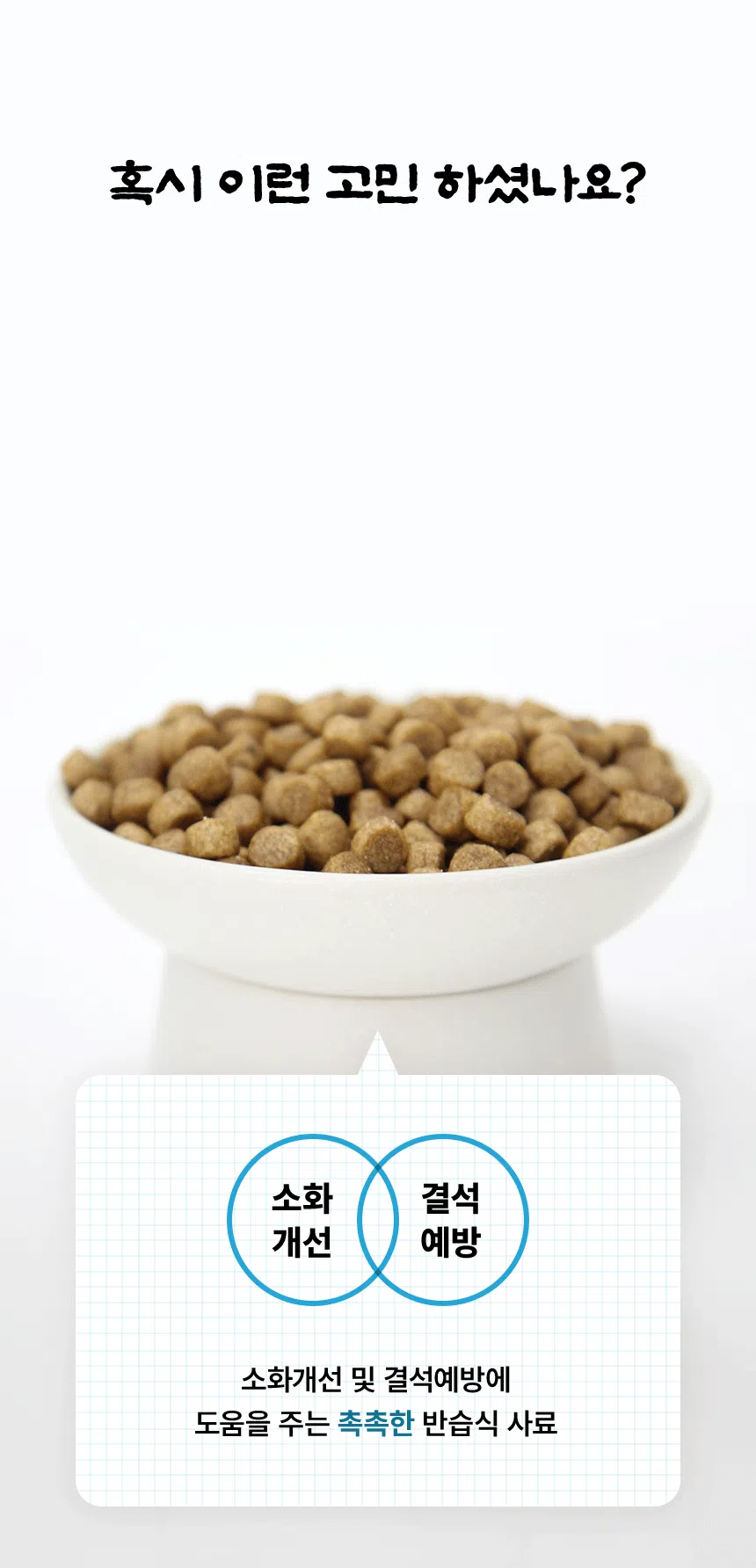 [신상특가] [무료배송] 데이스포 독 아이케어 스킨앤밸런스 피부건강 사료 5kg 10번째