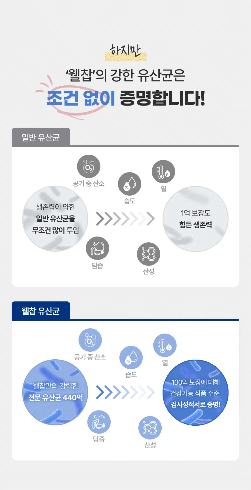 [무료배송] [유통기한임박, 26년3월19일] 웰찹 강아지 고양이 덴마크 펫 유산균 100 500mg 3번째