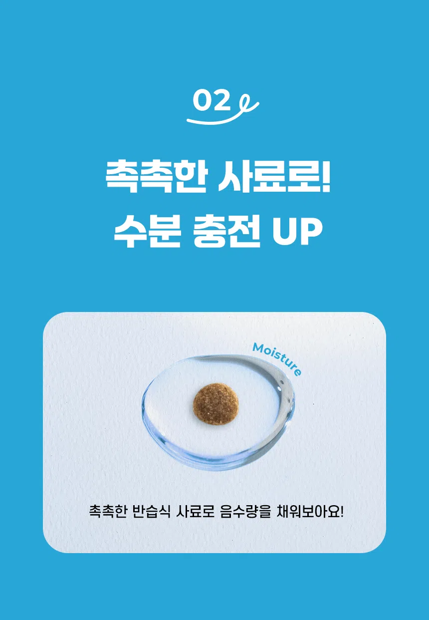 [신상특가] [무료배송] 데이스포 독 아이케어 스킨앤밸런스 피부건강 사료 5kg 11번째