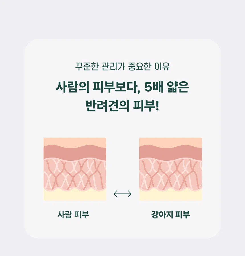 [신상특가] [무료배송] 데이스포 독 아이케어 스킨앤밸런스 피부건강 사료 5kg 16번째