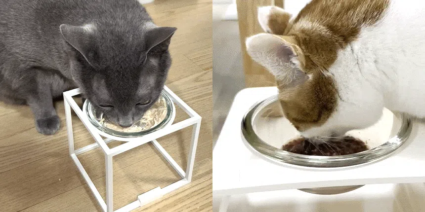 3651 캣 와구 2종 버라이어티 습식 캔 24개입 2번째