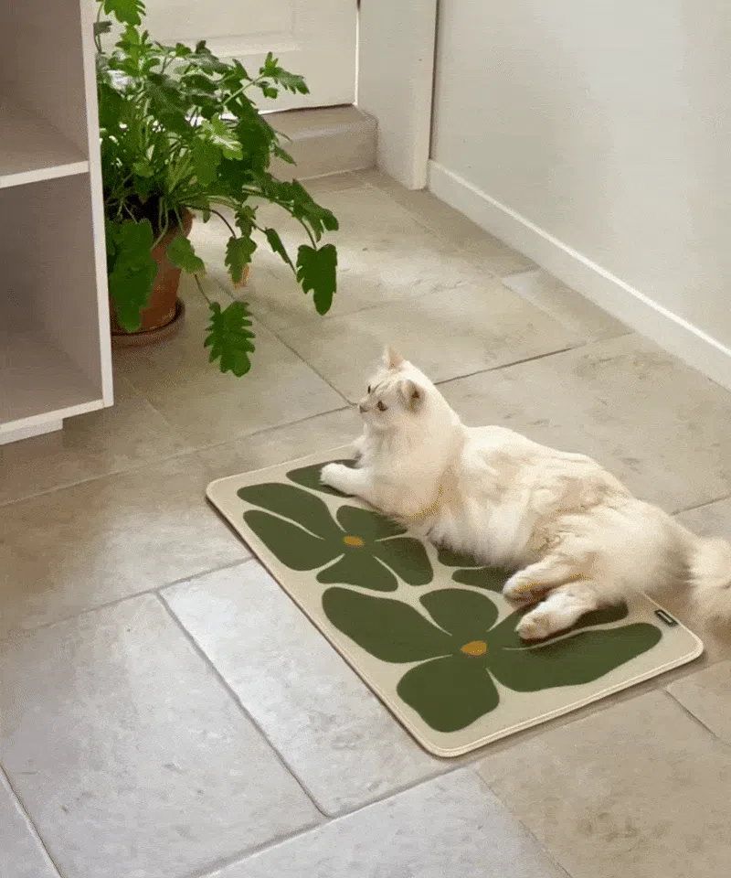 [NEW신상][무료배송] 피도테일 아트 포스터 스크래쳐 매트 초록꽃 1번째