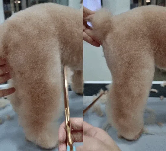 [NEW신상][무료배송] 실버라인 MDM 지우개 요술가위 4세대(7인치, 7.5인치) 7번째