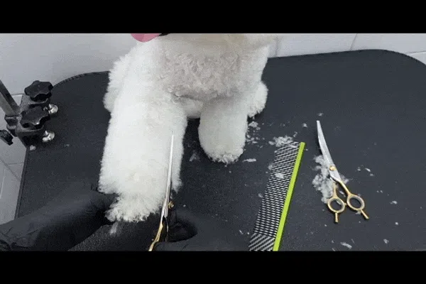 [NEW신상][무료배송] 실버라인 애견미용 국민 톱니가위 7인치 3종세트(민가위, 커브가위, 숱가위) 4번째