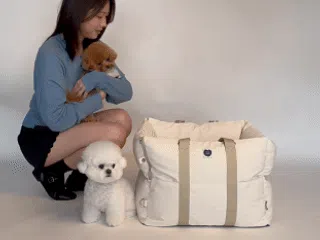 [NEW신상][무료배송] 펫츠랜드 컴포라카시트 3color 3번째