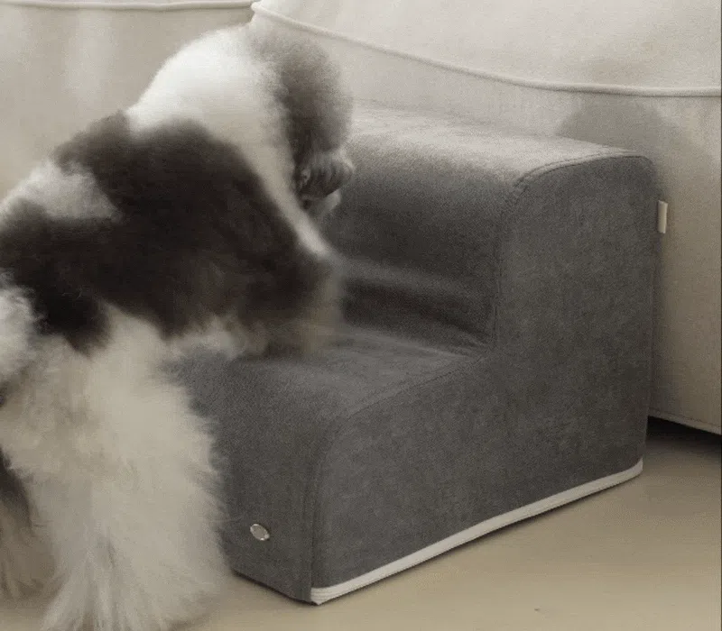 [NEW신상][무료배송] 쉬오트 프리미엄 제로스텝 2단/3단 (3color) 5번째