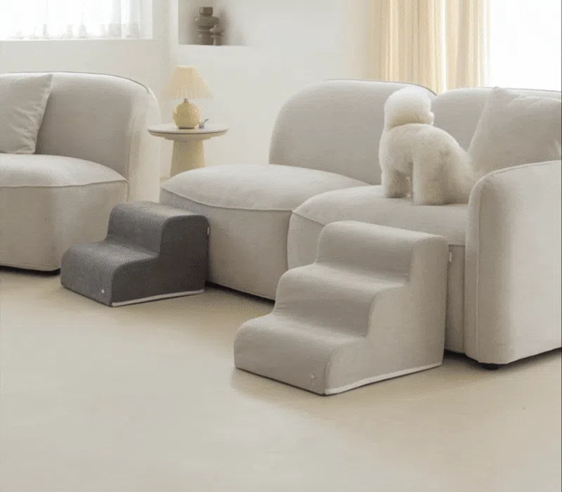 [NEW신상][무료배송] 쉬오트 프리미엄 제로스텝 2단/3단 (3color) 7번째