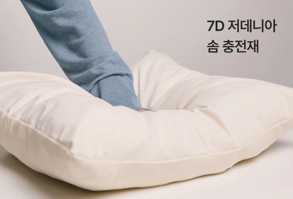 [NEW신상][무료배송] 펫츠랜드 컴포라카시트 3color 5번째