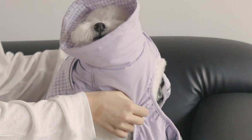 [NEW신상][무료배송] 마이플러피 쳌쳌 밴드 하네스패딩 11번째