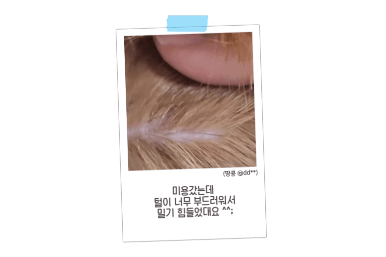 [신상특가] [무료배송] 배사봉 반려동물 수제 목욕비누 12종 (모질타입 · 피모타입 · 부위전용) 27번째