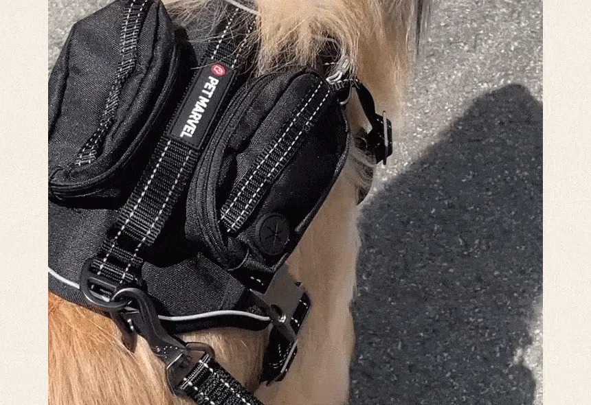 [NEW신상][무료배송] 펫마블 투포켓 하네스 대형견 앞섬방지 가슴줄 8번째