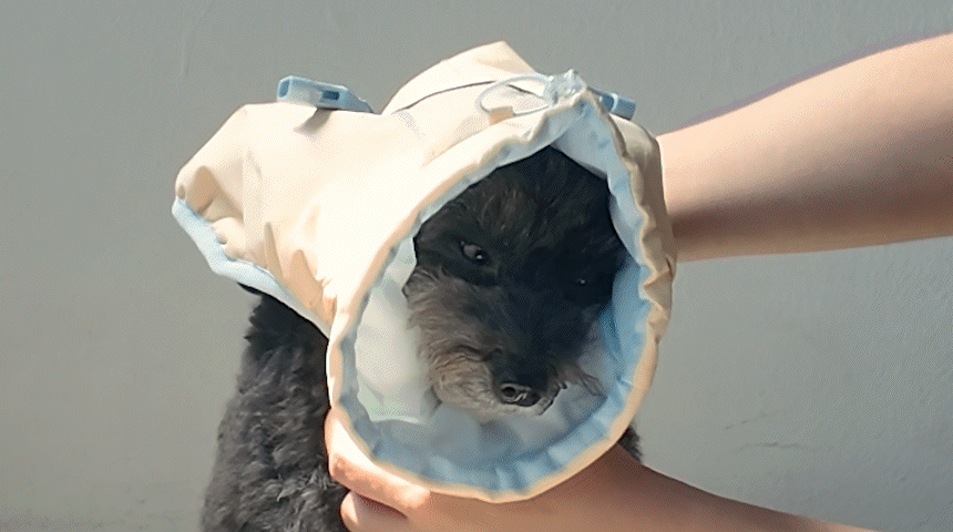 [NEW신상][무료배송] 마이플러피 소다팝 밴드 하네스패딩 11번째