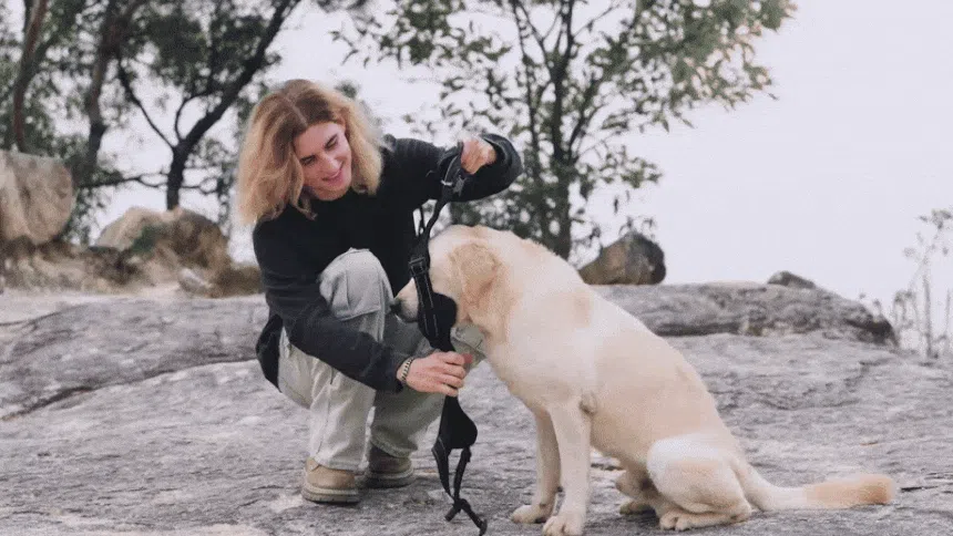 [NEW신상][무료배송] 펫마블 원포켓 하네스 중형견 대형견 가슴줄 14번째