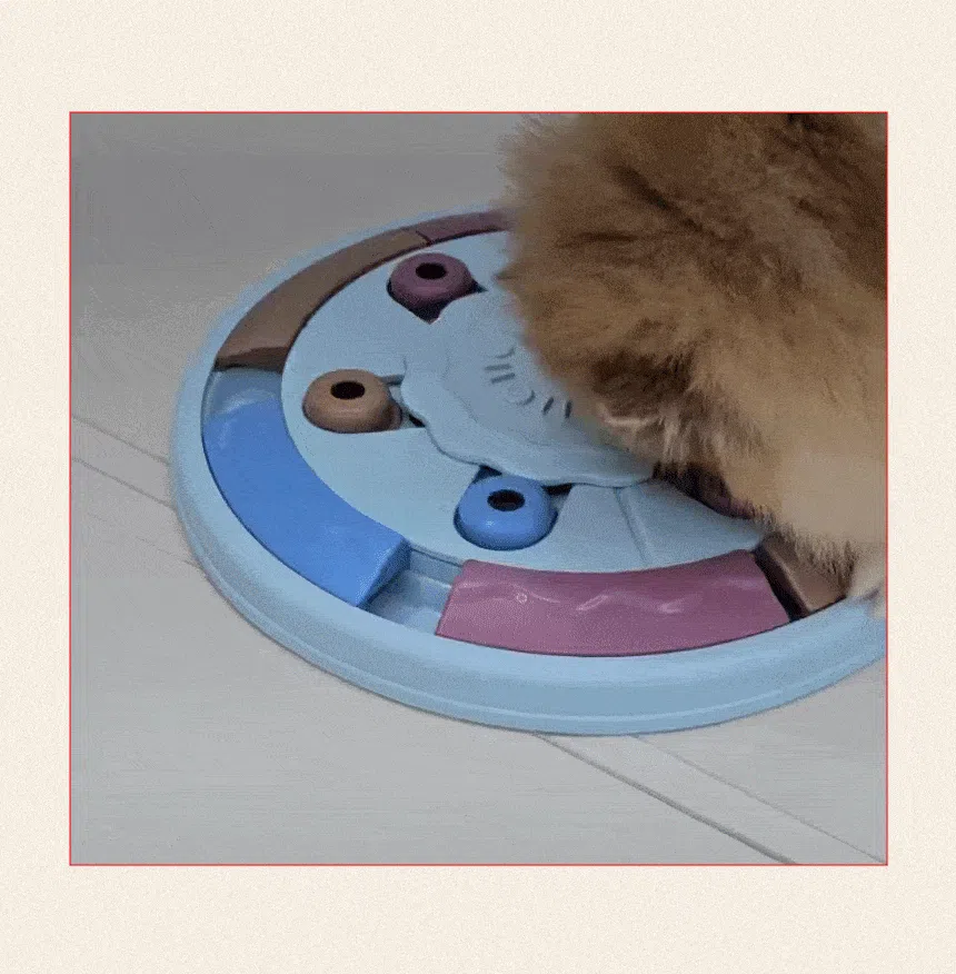 [NEW신상][무료배송] 펫마블 피자 노즈워크 장난감 5번째