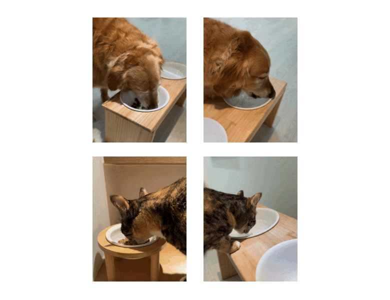 [신상특가] [무료배송] [복수구매할인] 배사봉 세이프 키친솝 반려동물 식기세척 비누 19번째