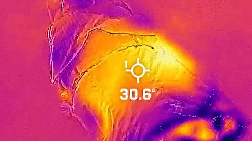 [NEW신상][무료배송] 마이플러피 소다팝 밴드 하네스패딩 9번째