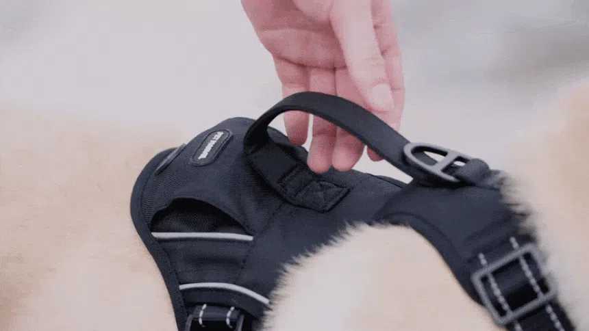 [NEW신상][무료배송] 펫마블 원포켓 하네스 중형견 대형견 가슴줄 10번째