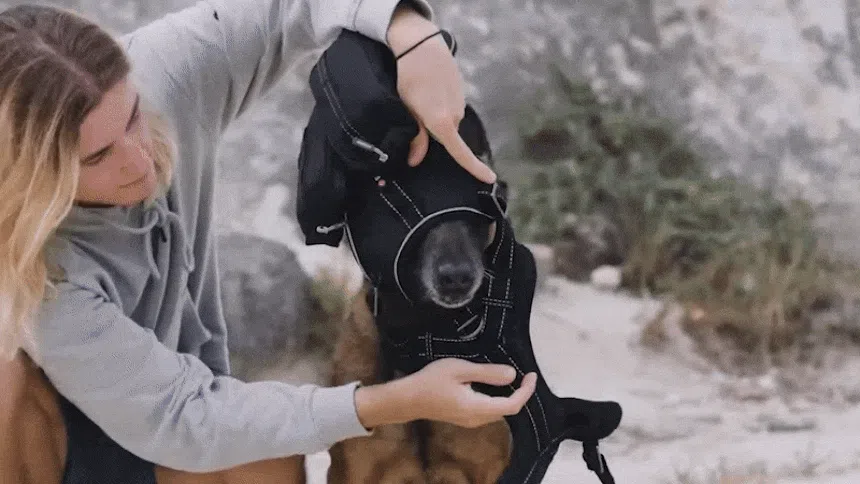 [NEW신상][무료배송] 펫마블 투포켓 하네스 대형견 앞섬방지 가슴줄 15번째