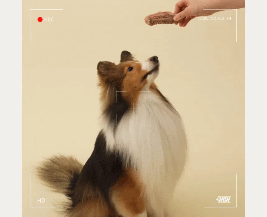 [NEW신상][무료배송] 바야 와일드트릿 동결건조 돼지귀 슬라이스 80g 17번째