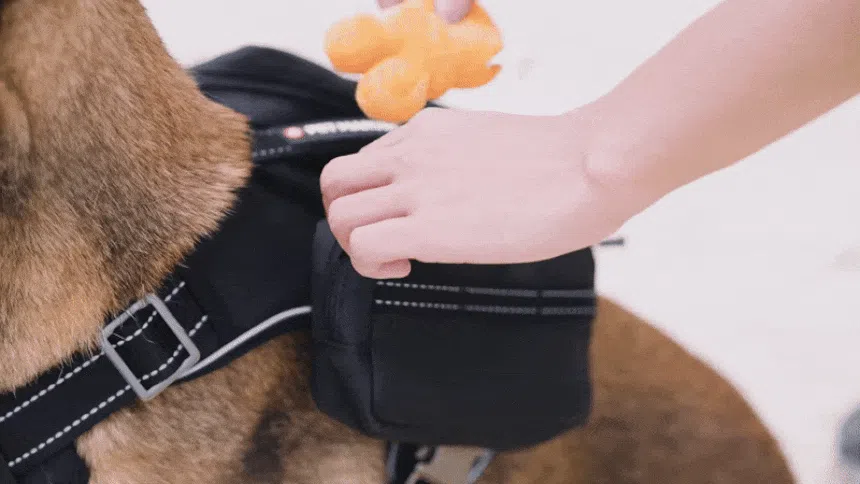 [NEW신상][무료배송] 펫마블 투포켓 하네스 대형견 앞섬방지 가슴줄 13번째