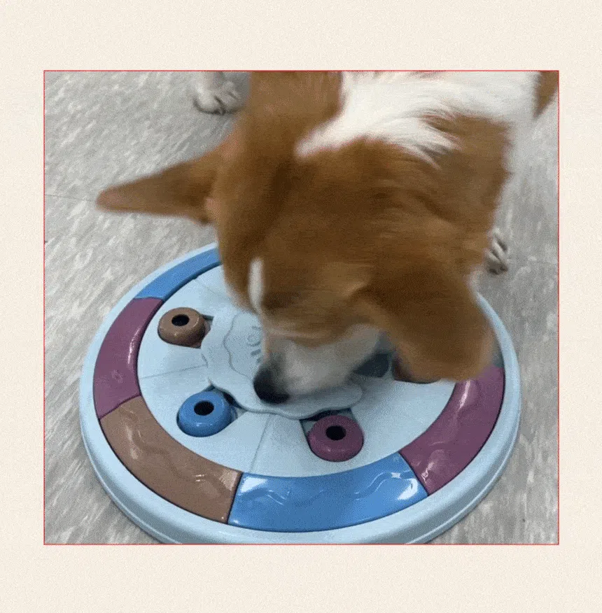 [NEW신상][무료배송] 펫마블 피자 노즈워크 장난감 3번째