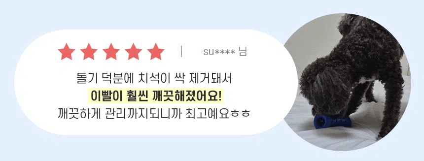 [NEW신상][무료배송] 슈퍼포우 오래먹는 강아지껌 장난감 덴탈츄 부스터 7번째