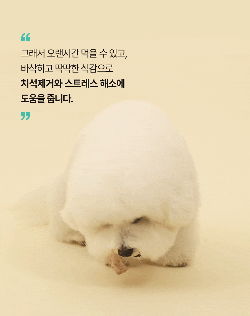 [무료배송] 바야 와일드트릿 동결건조 송아지목뼈 140g 15번째