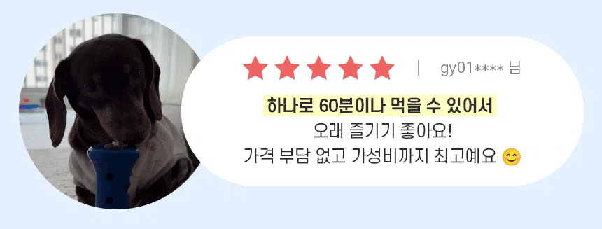 [NEW신상][무료배송] 슈퍼포우 오래먹는 강아지껌 장난감 덴탈츄 부스터 6번째