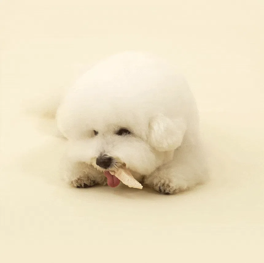 [NEW신상][무료배송] 바야 와일드트릿 동결건조 오리안심 80g 2번째