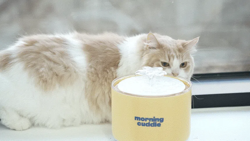 [NEW신상][무료배송] 모닝커들 UVC 워터케어 자동 정수기 32번째