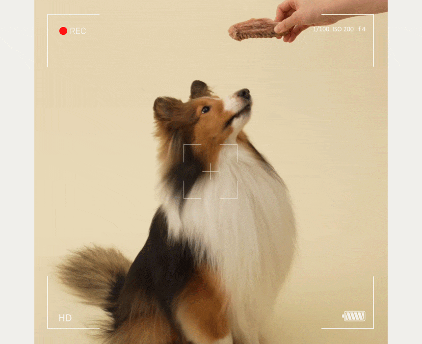 [무료배송] 바야 와일드트릿 동결건조 송아지목뼈 140g 17번째