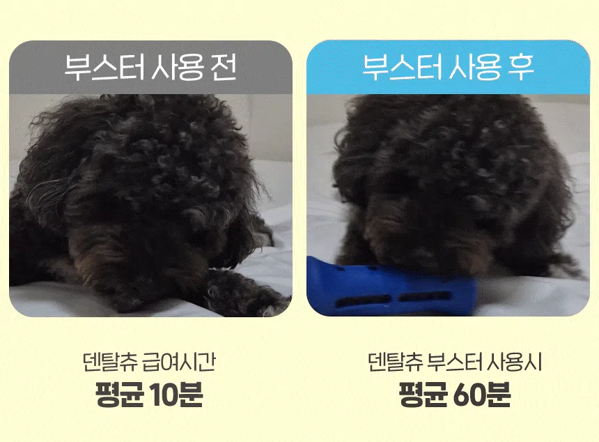 [NEW신상][무료배송] 슈퍼포우 오래먹는 강아지껌 장난감 덴탈츄 부스터 11번째