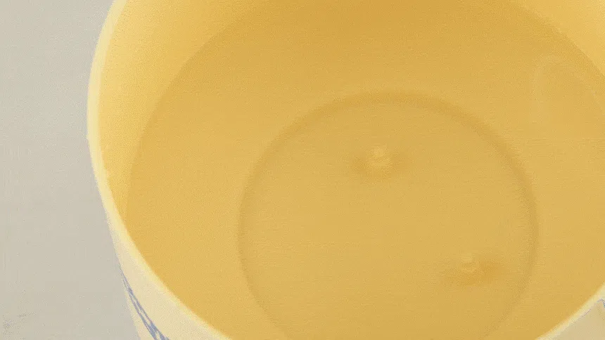 [NEW신상][무료배송] 모닝커들 UVC 워터케어 자동 정수기 13번째