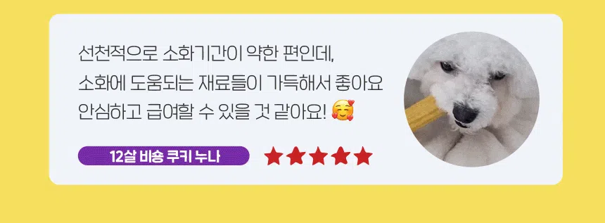 슈퍼포우 독 덴탈 바나나츄 L 4번째