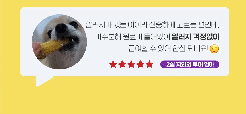 슈퍼포우 독 덴탈 바나나츄 L 5번째