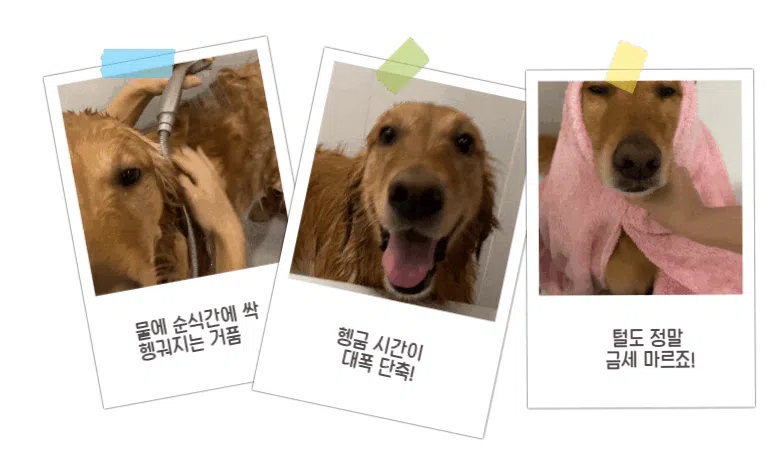 [체험단] [무료배송] 배사봉 수제 목욕비누 더블코트 20g 23번째