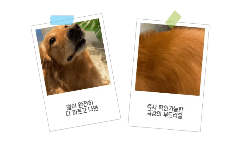 [체험단] [무료배송] 배사봉 수제 목욕비누 더블코트 20g 25번째