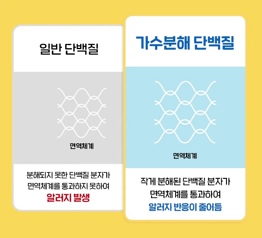 슈퍼포우 독 덴탈 바나나츄 L 24번째