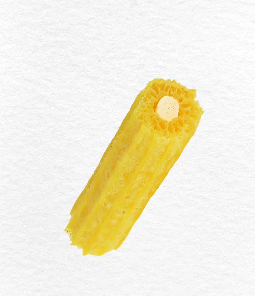 슈퍼포우 독 덴탈 바나나츄 L 14번째