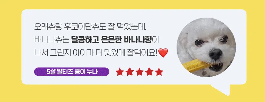 슈퍼포우 독 덴탈 바나나츄 L 2번째