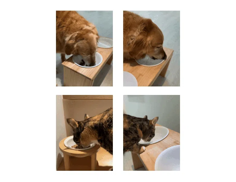 [체험단] [무료배송] 배사봉 세이프 키친 솝 주방비누 35g 18번째